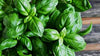 Fresh Basil Infused Olive Oil 250ML