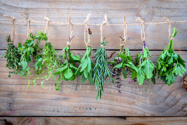 Herb Garden Trio Set