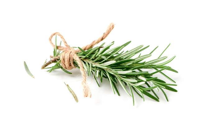 Rosemary Infused Olive Oil 250ML